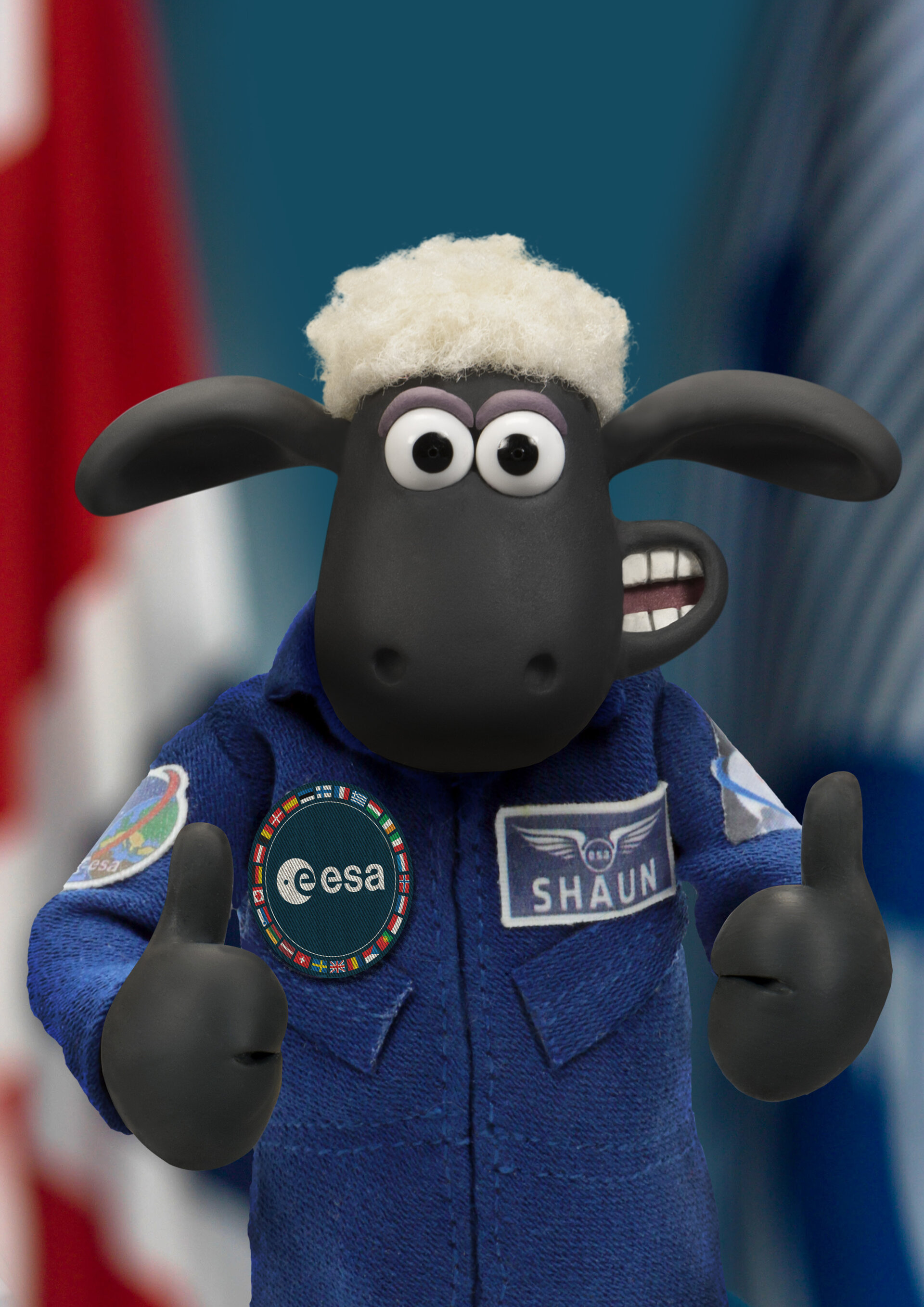 Baranek Shaun dostał certyfikat NASA. Wziął udział w misji