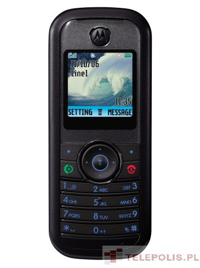 Motorola W205