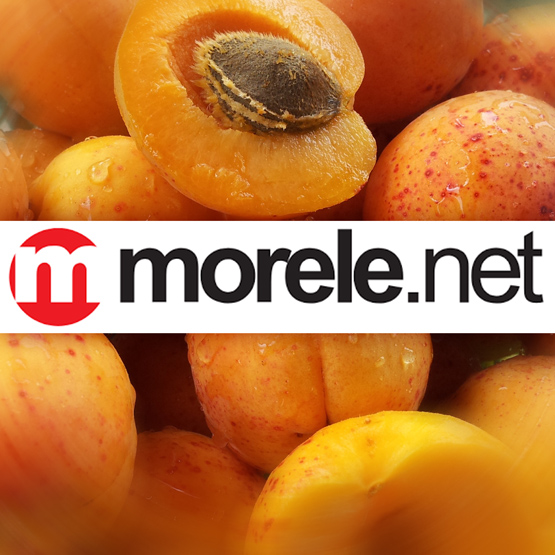 Morele.net jednak zhakowane. Sklep nocą przyznał, że wyciekły dane osobowe klientów