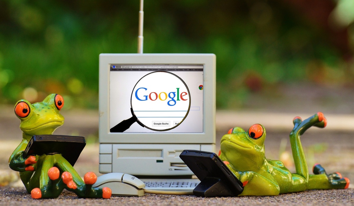 Google żaby wyniki