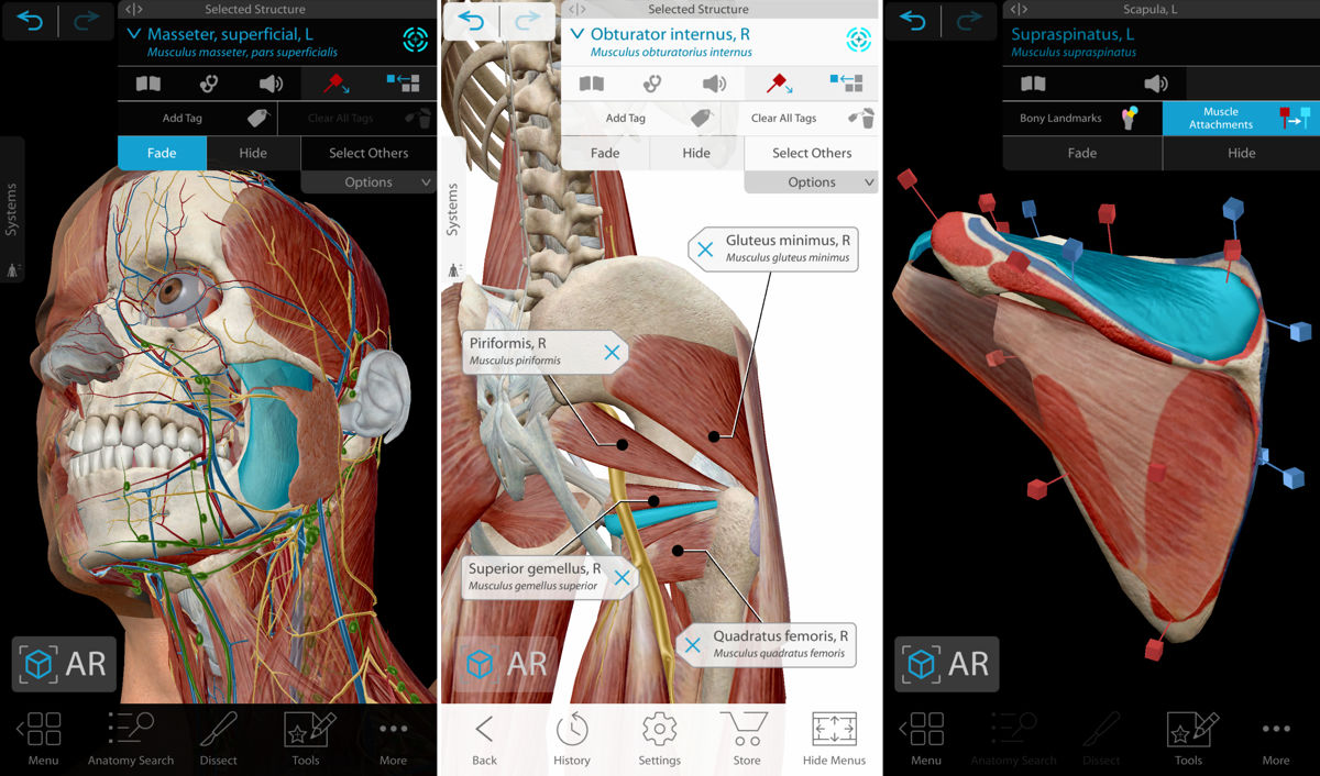 Human Anatomy Atlas 2021