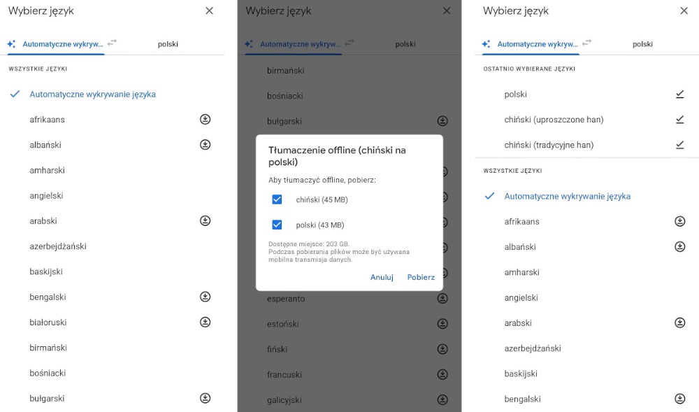 Google Lens z możliwością pobrania słowników offline