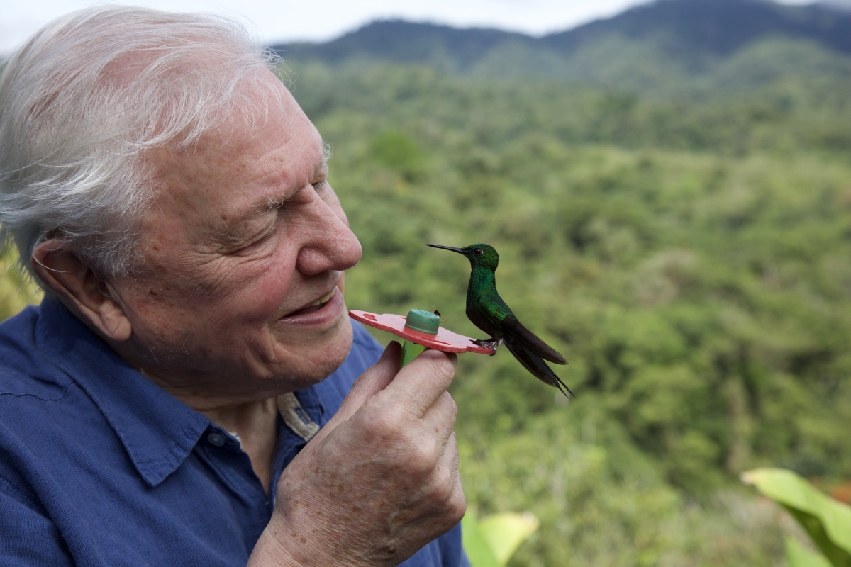 David Attenborough