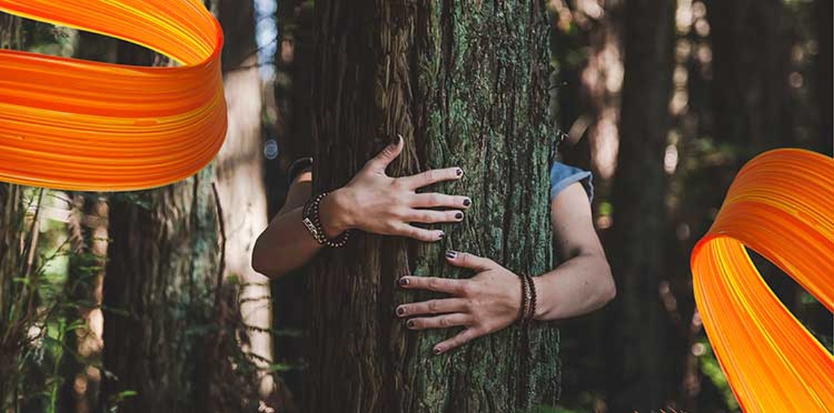 Orange Flex niewykorzystane gigabajty bioróżnorodny las