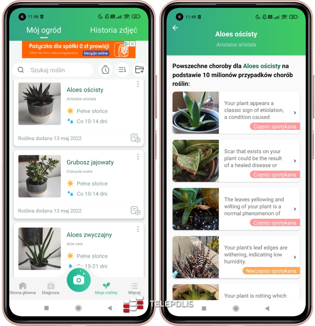 PictureThis dla Androida – porady i pielęgnacja roślin doniczkowych