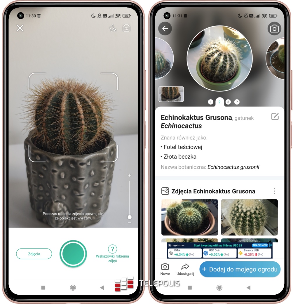 PictureThis – rozpoznawanie roślin dla Androida
