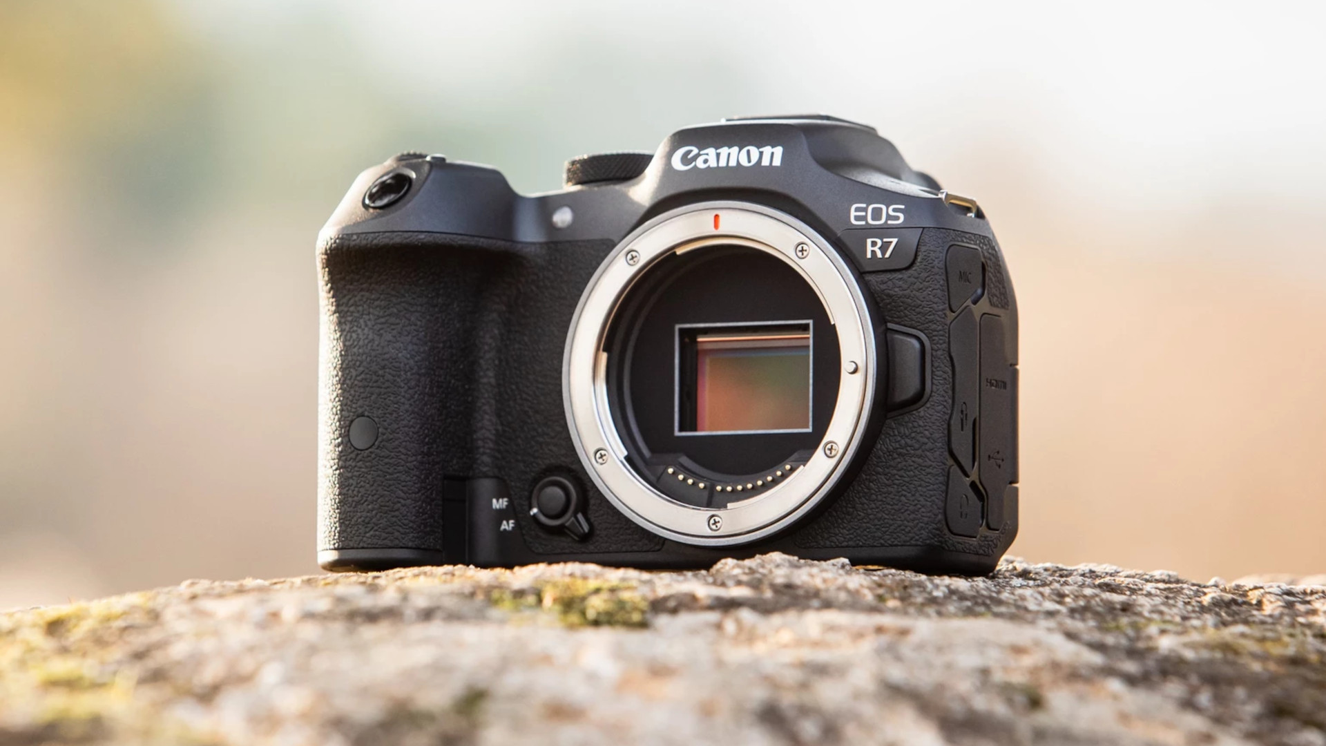 Canon EOS R5 i R6 - pierwsze wrażenia