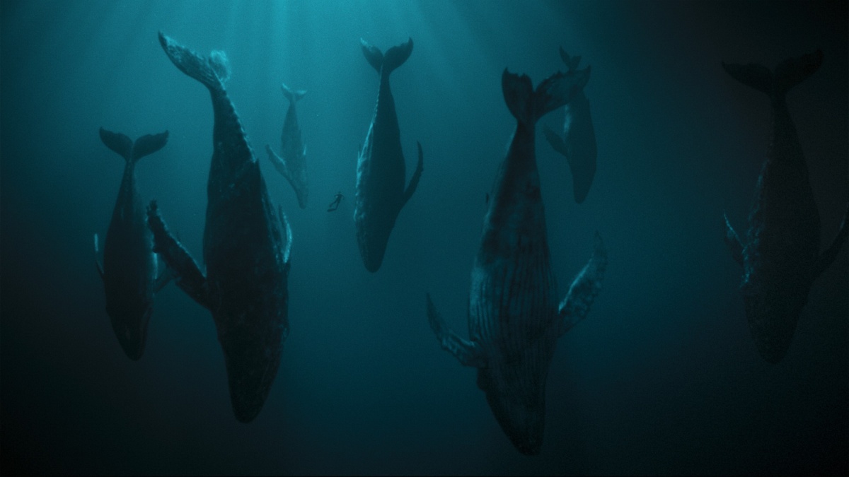 Odwet oceanu screen