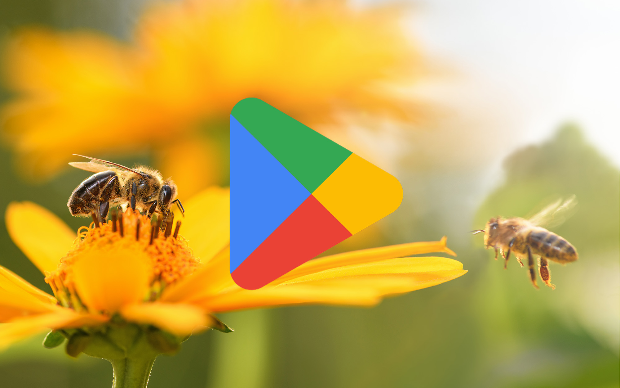 Płatne aplikacje w Google Play dostępne za darmo