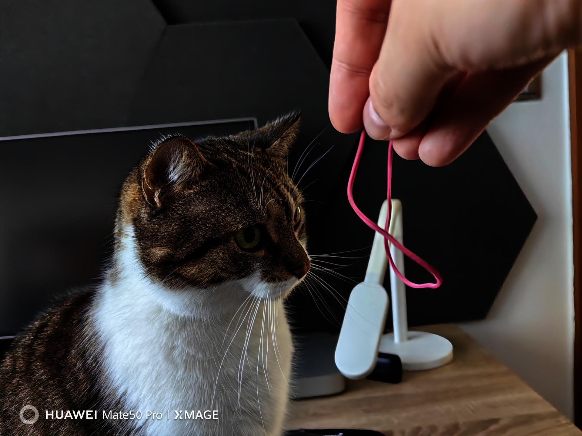 Twoja pasja w obiektywie Huawei Mate 50 Pro