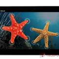 ASUS MeMO Pad FHD 10
