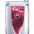 Motorola V66